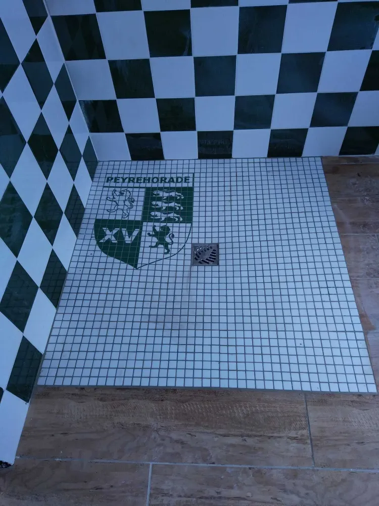 carrelage salle de bain (2)