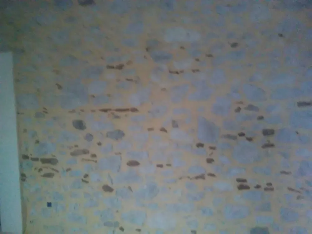mur en pierre (1)